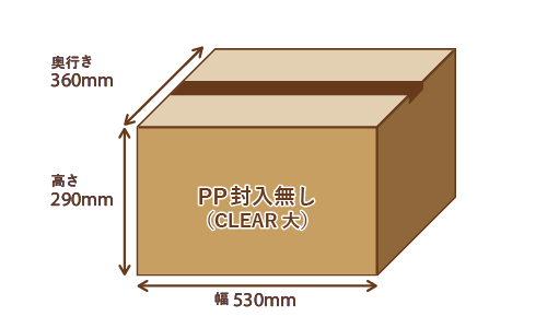 PP袋封入なしの最大梱包